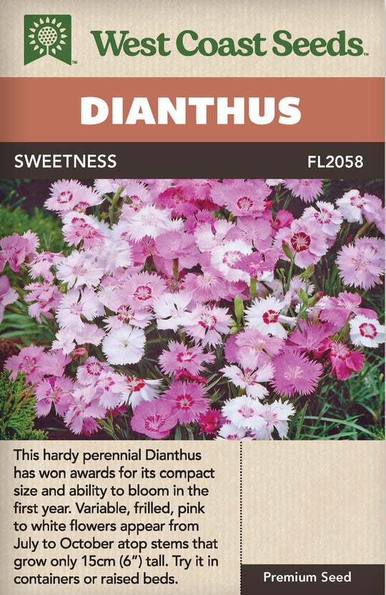 Dianthus Sweetness - West Coast Seeds