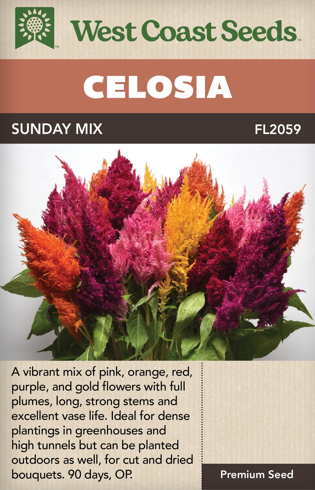 Celosia Sunday Mix - West Coast Seeds