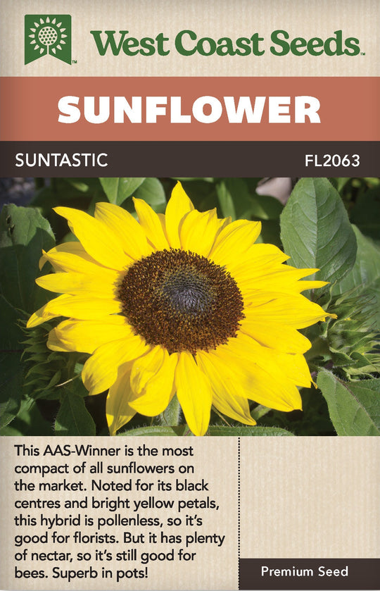 Sunflower Suntastic - West Coast Seeds