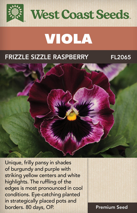 Viola Frizzle Sizzle Raspberry - West Coast Seeds