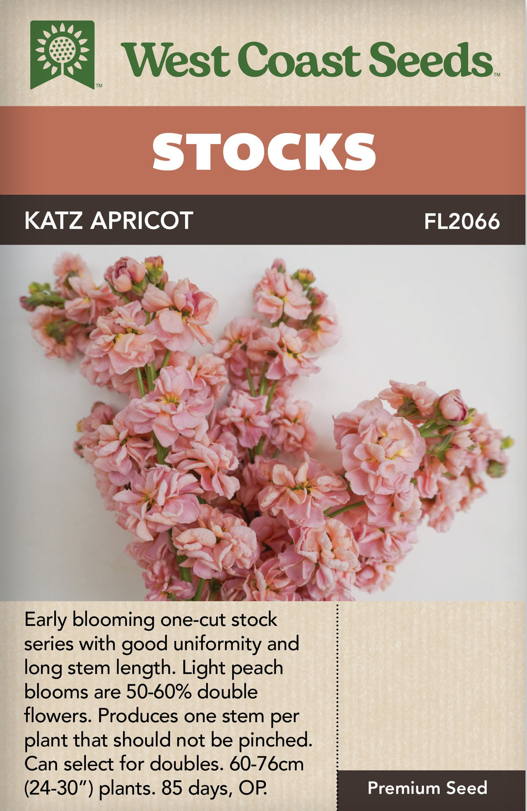 Stocks Katz Apricot - West Coast Seeds