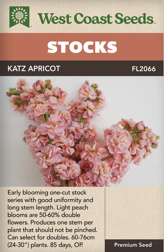 Stocks Katz Apricot - West Coast Seeds