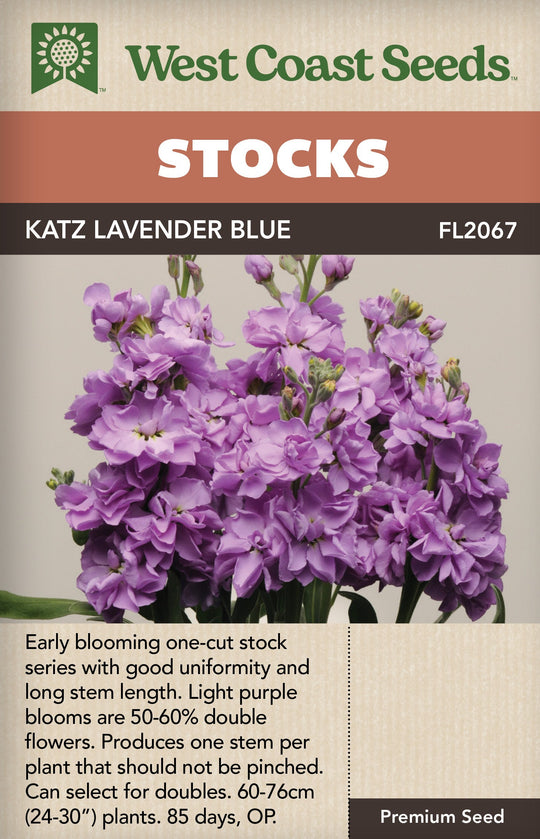 Stocks Katz Lavender Blue - West Coast Seeds