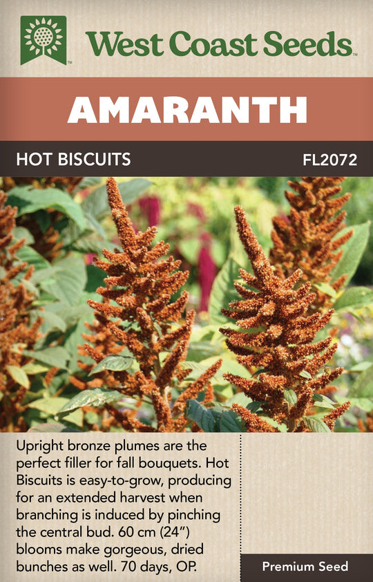 Amaranth Hot Biscuits - West Coast Seeds