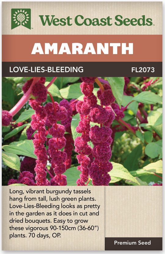 Amaranth Love Lies Bleeding - West Coast Seeds