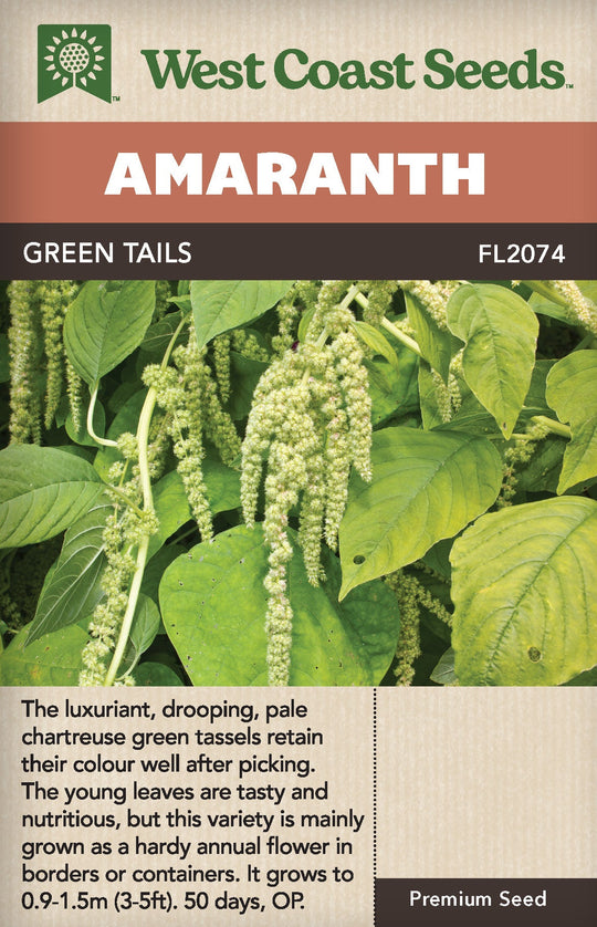 Amaranth Green Tails - West Coast Seeds