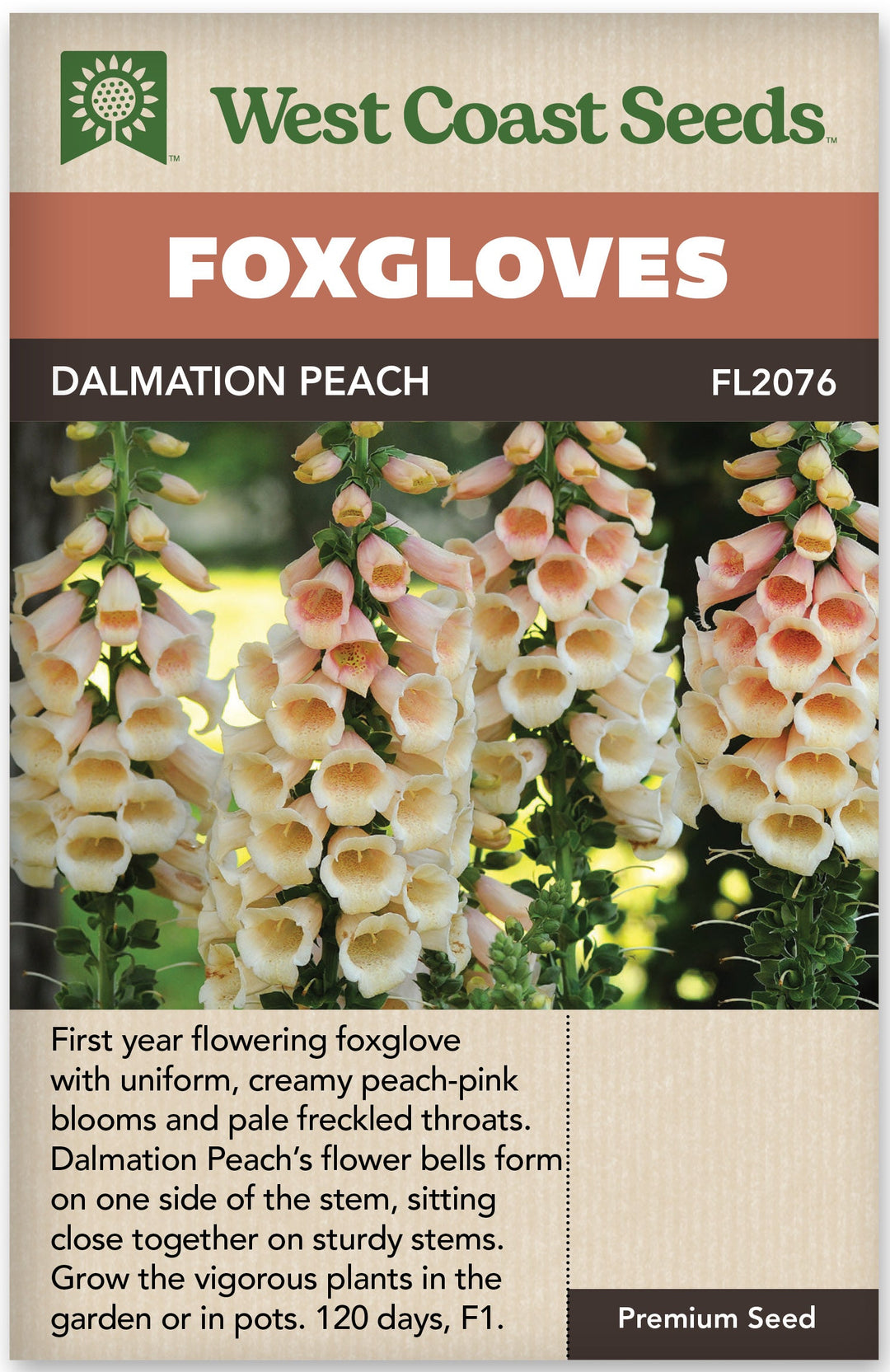 Foxgloves Dalmation Peach - West Coast Seeds