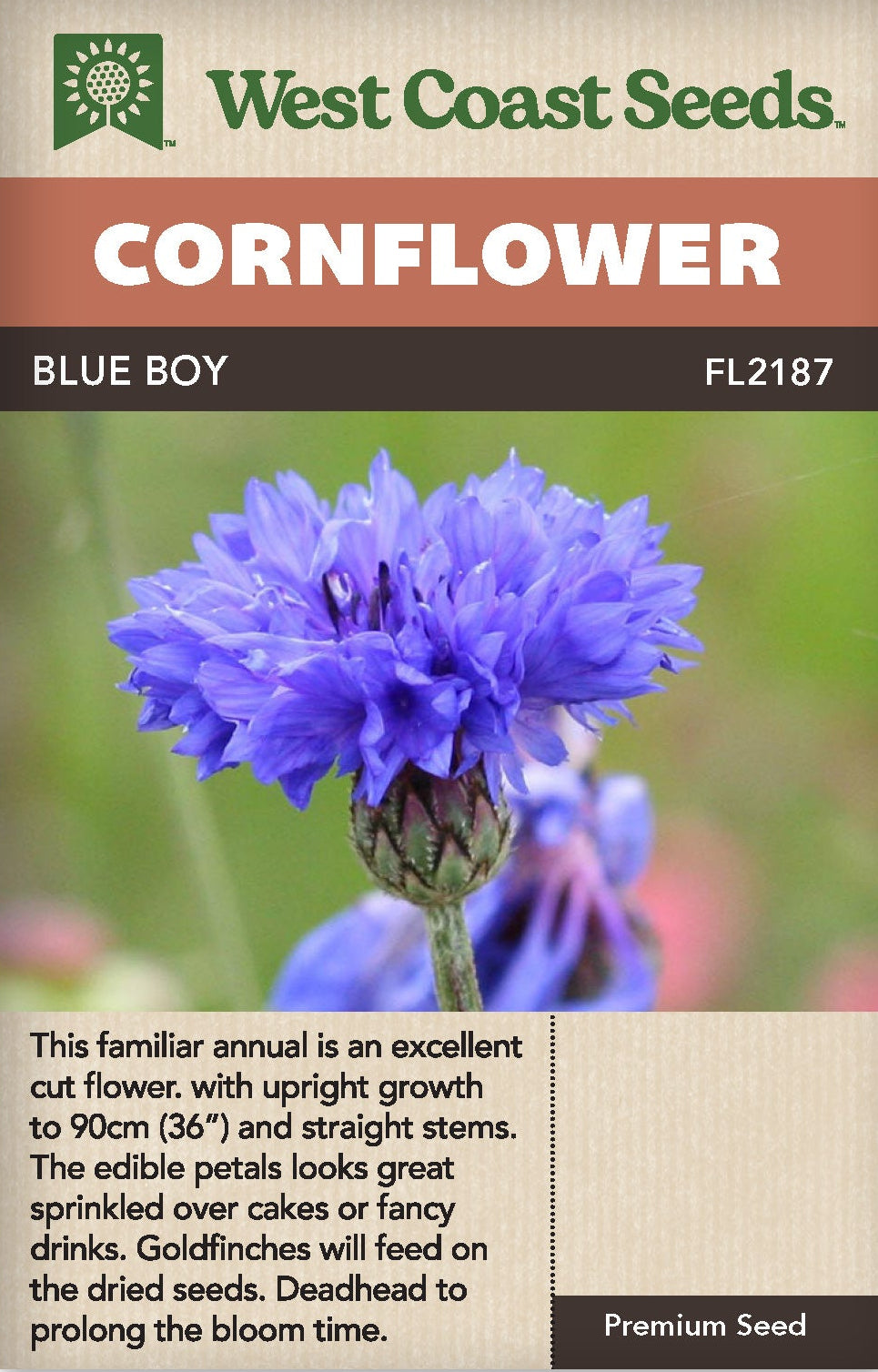Cornflower Blue Boy - West Coast Seeds