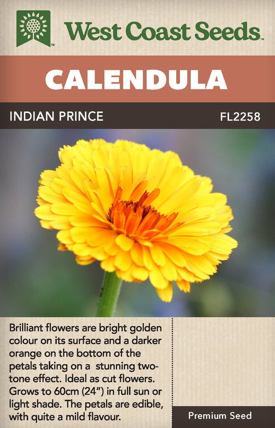 Calendula Indian Prince - West Coast Seeds