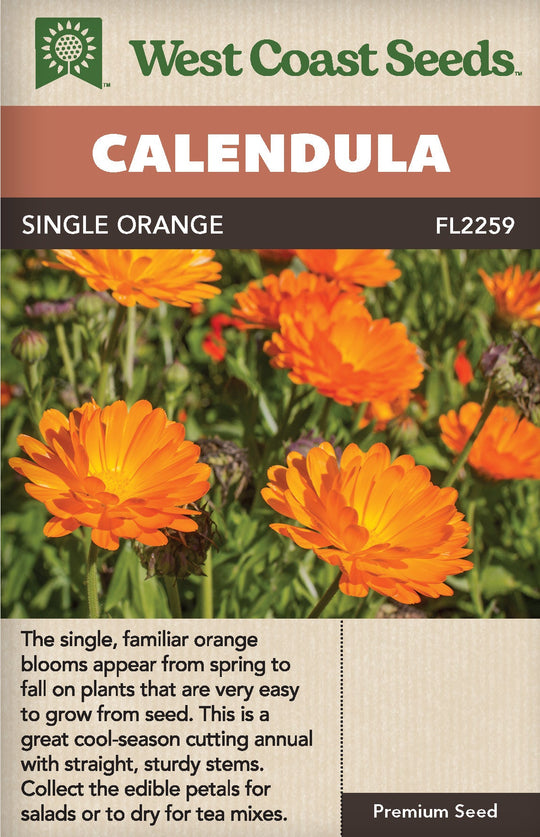Calendula Single Orange - West Coast Seeds