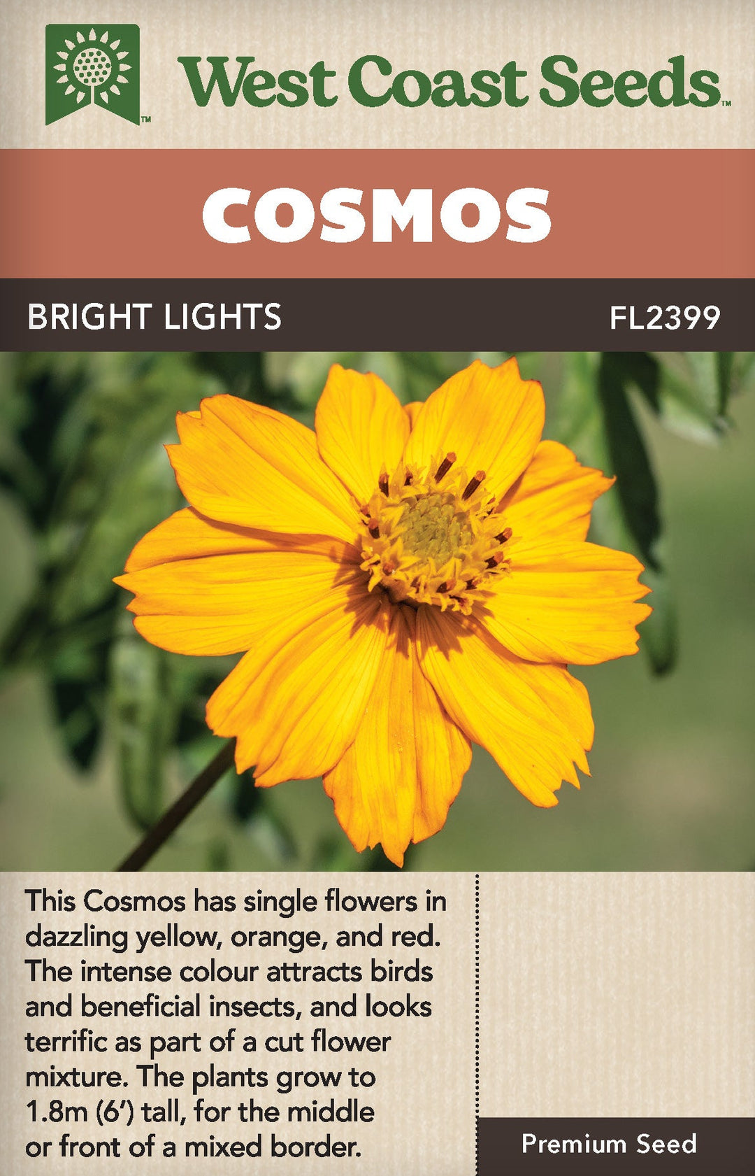Cosmos Bright Lights - West Coast Seeds