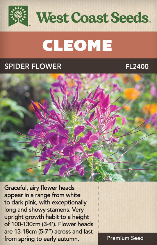 Cleome Spider Flower - West Coast Seeds