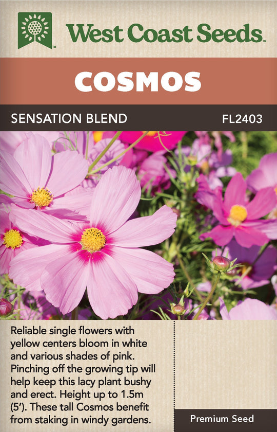 Cosmos Sensation Blend - West Coast Seeds