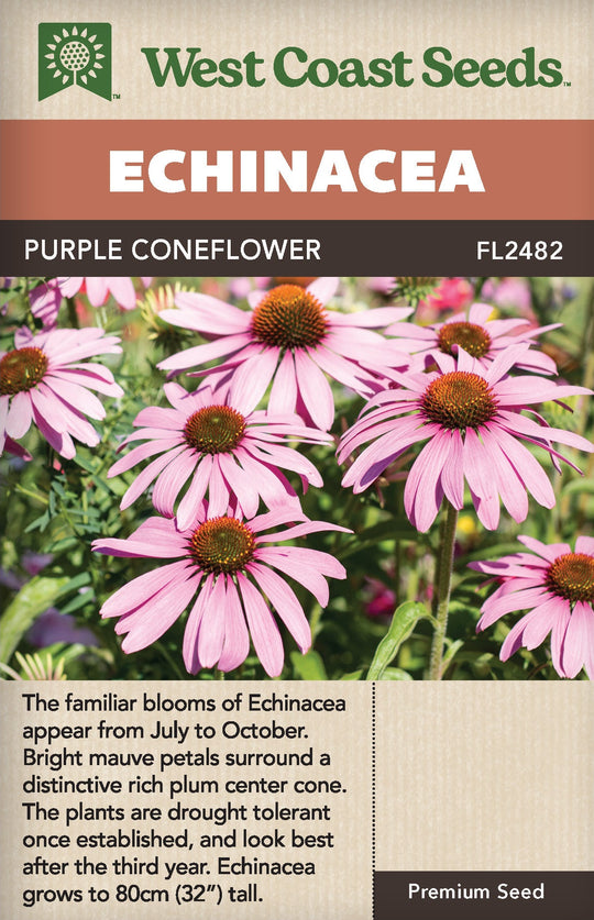 Echinacea Purple Coneflower - West Coast Seeds
