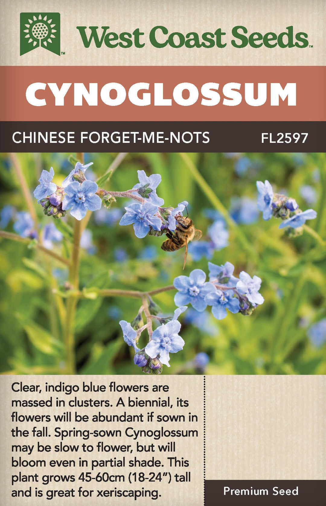 west coast seeds plant sale Cynoglossum Forget-Me-Nots