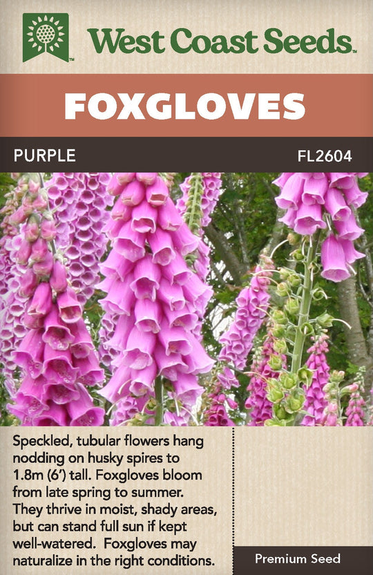 Foxgloves Purple - West Coast Seeds