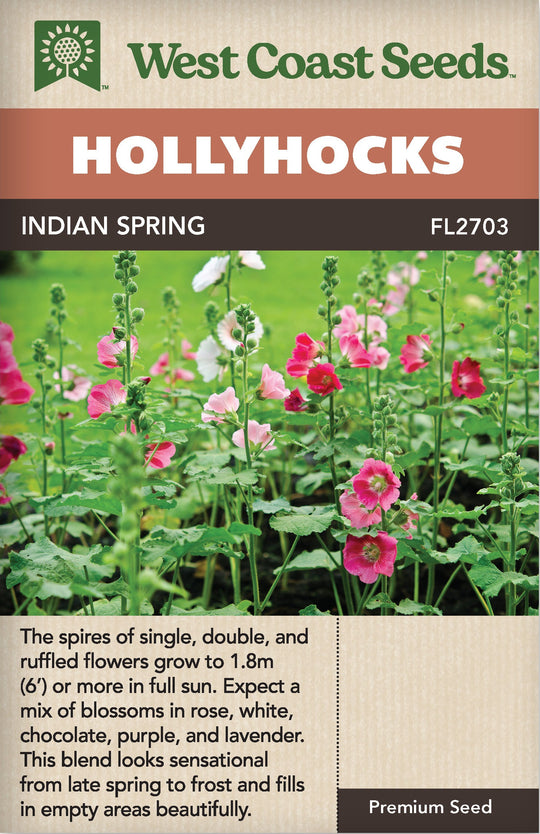 Hollyhocks Indian Spring - West Coast Seeds