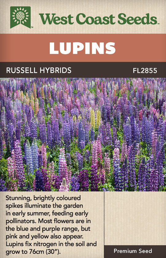 Lupin Russell Hybrids - West Coast Seeds