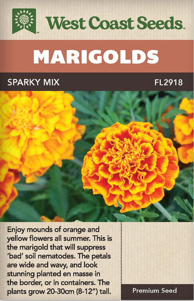 marigold seeds osrs Marigold Sparky Mix