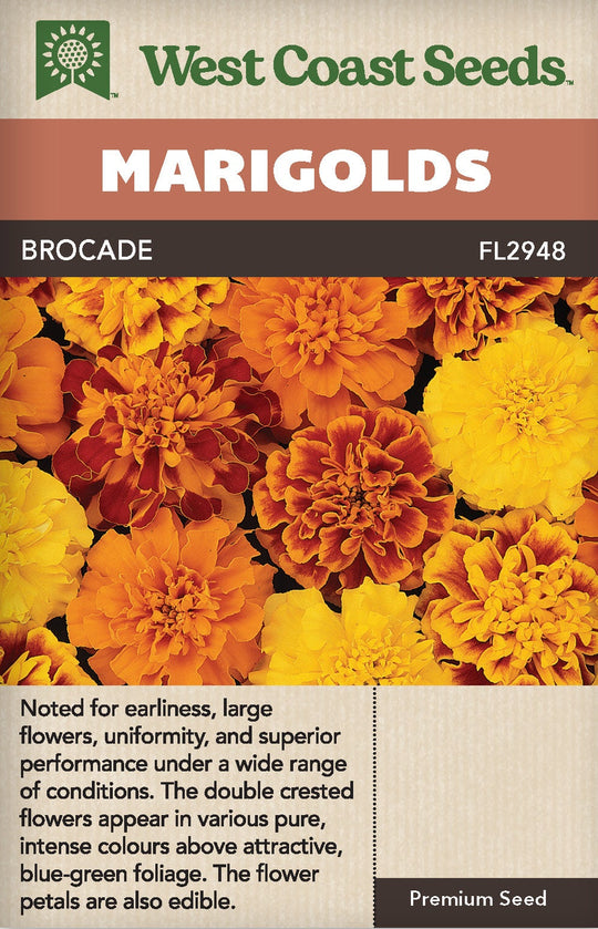 Marigold Brocade - West Coast Seeds