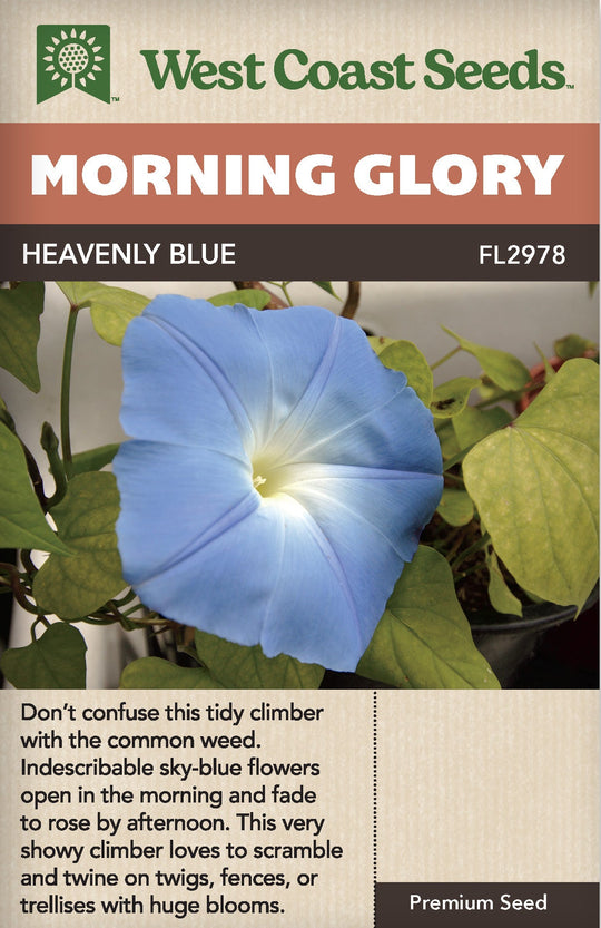 Morning Glory Heavenly Blue - West Coast Seeds