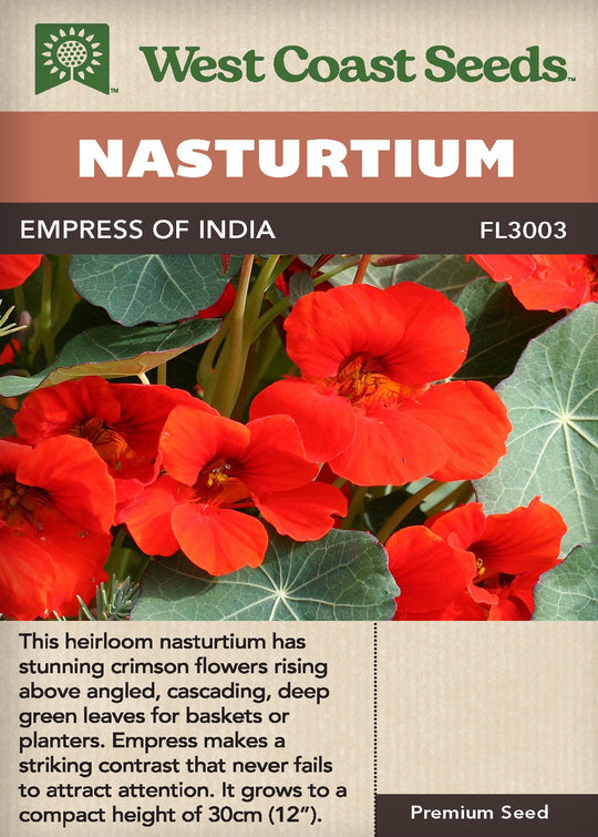 Nasturtium Empress of India - West Coast Seeds