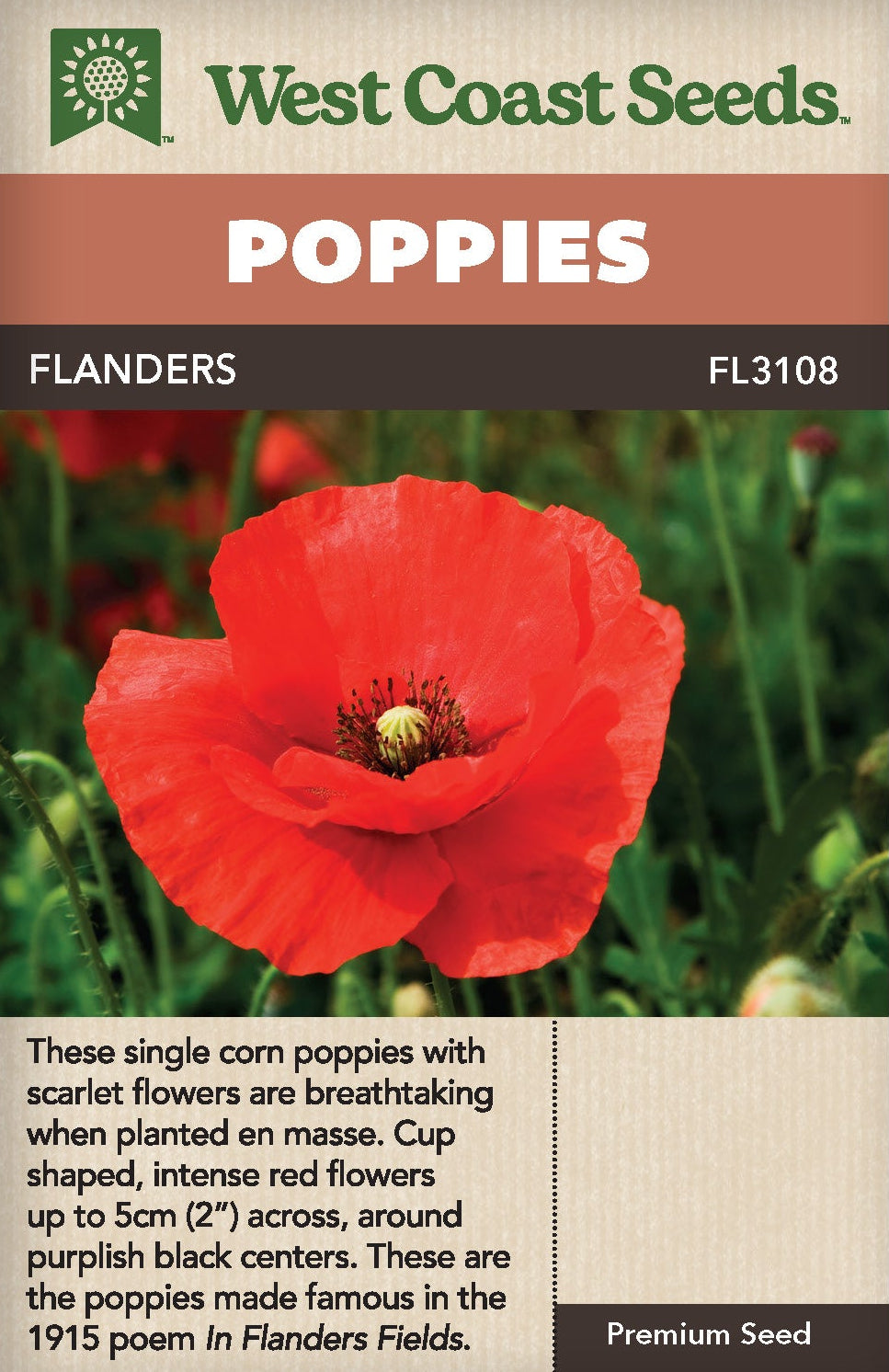 Poppy Flanders - West Coast Seeds