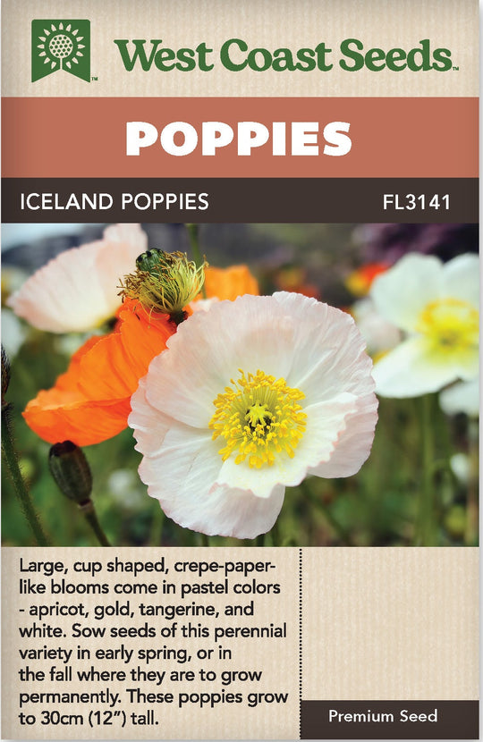 Poppy Iceland Poppies - West Coast Seeds