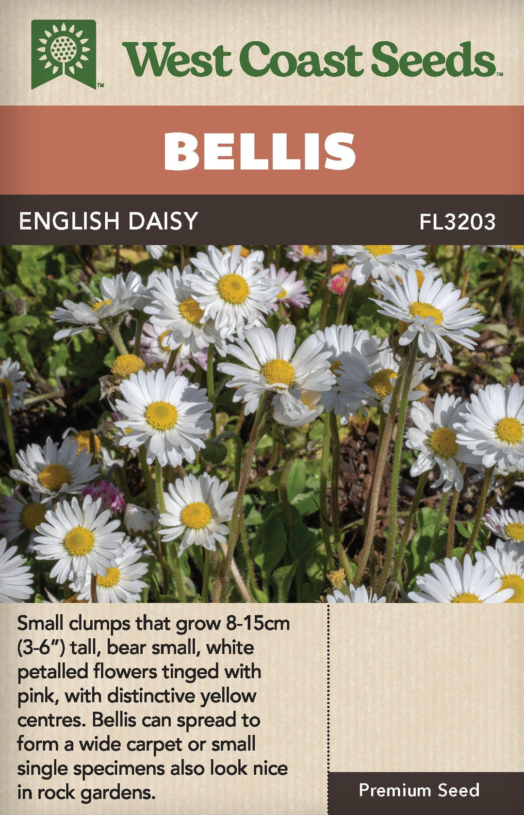 Bellis English Daisy - West Coast Seeds