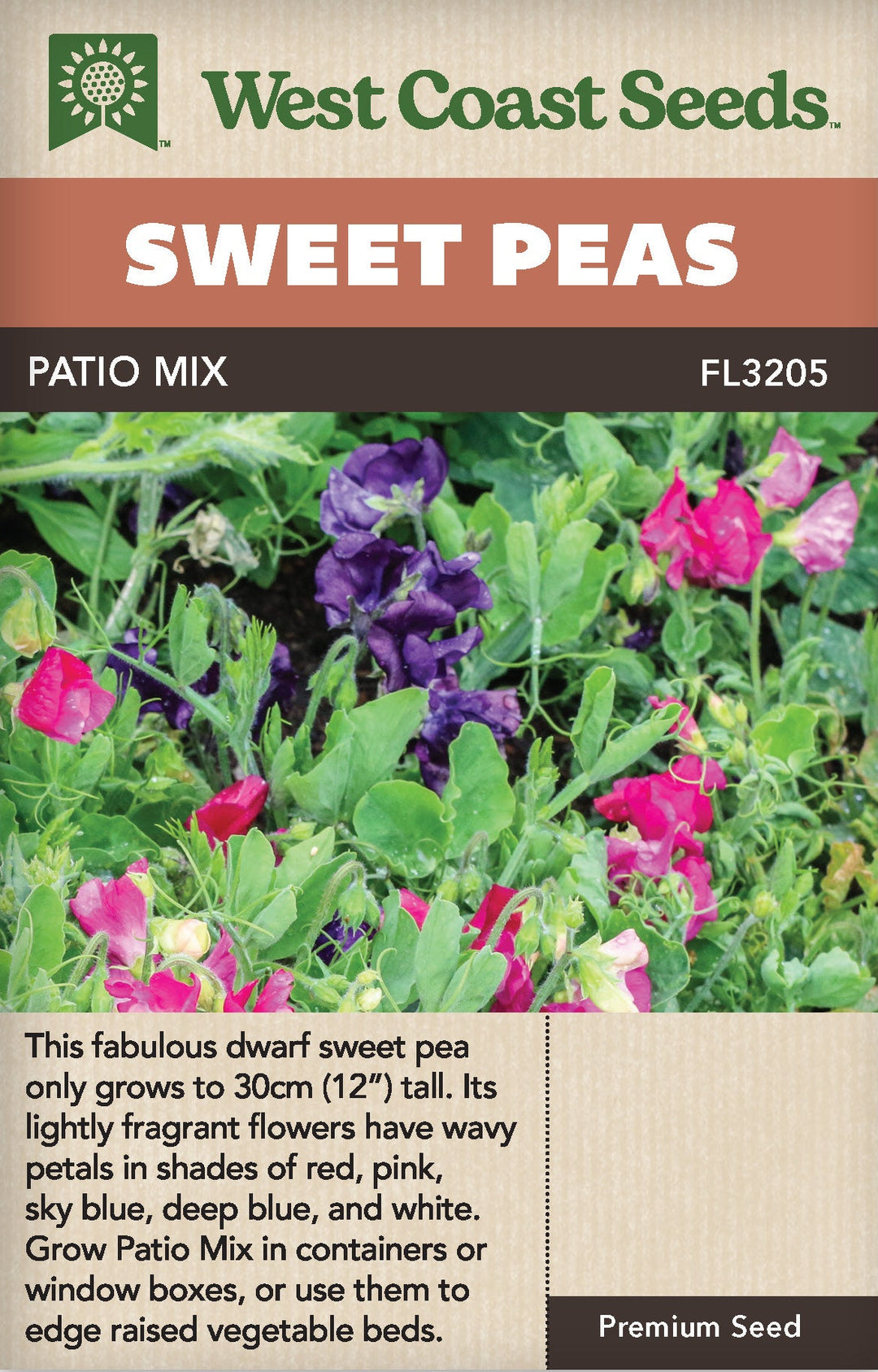 plant sweet pea seeds outdoors Sweet Peas Patio Mix