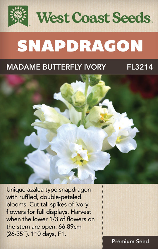 Snapdragon Madame Butterfly Ivory - West Coast Seeds