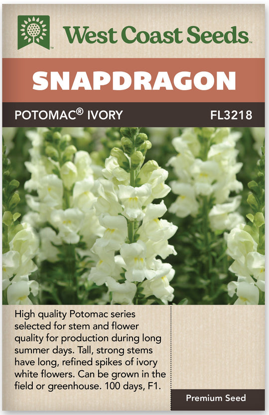Snapdragon Potomac Ivory - West Coast Seeds