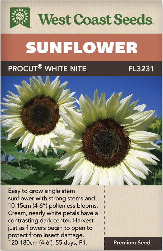 Sunflower ProCut White Nite- West Coast Seeds