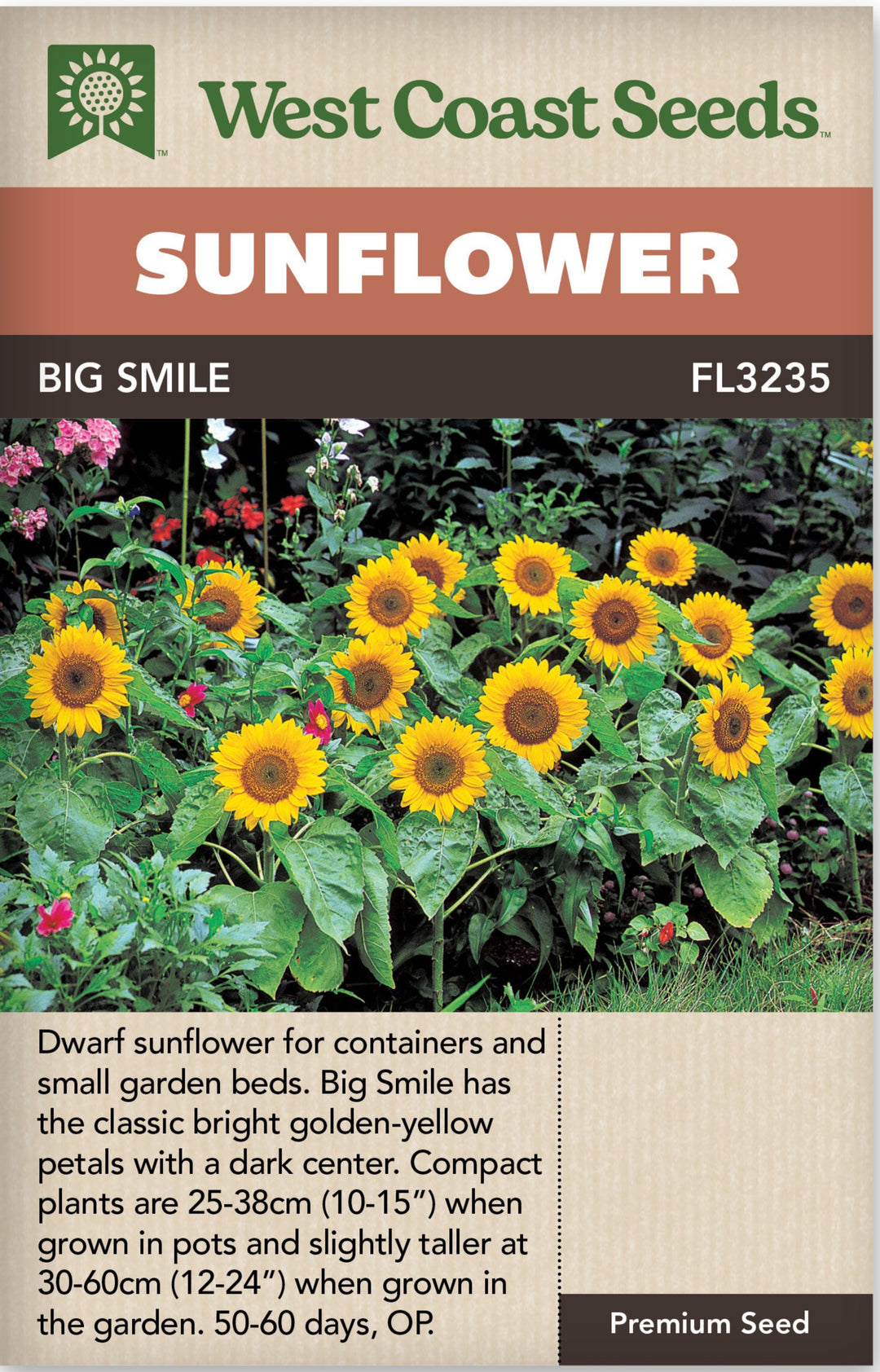 Sunflower Dwarf Big Smile - West Coast Seeds