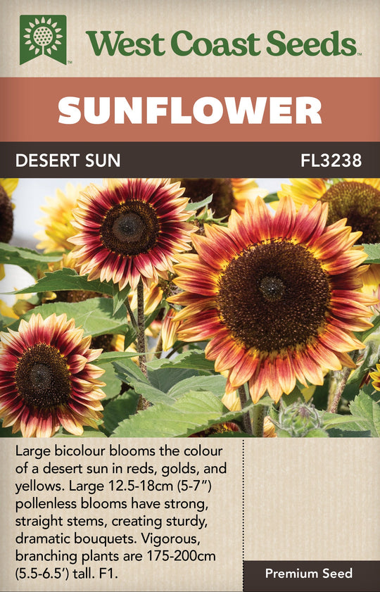 Sunflower Desert Sun - West Coast Seeds