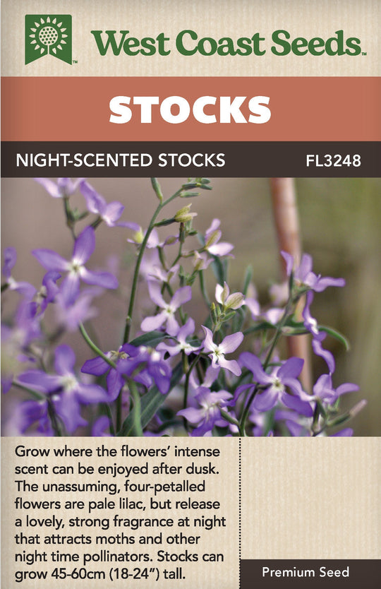 Stocks Night Scented - West Coast Seeds