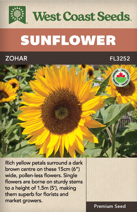 Organic Sunflower Zohar - West Coast Seeds
