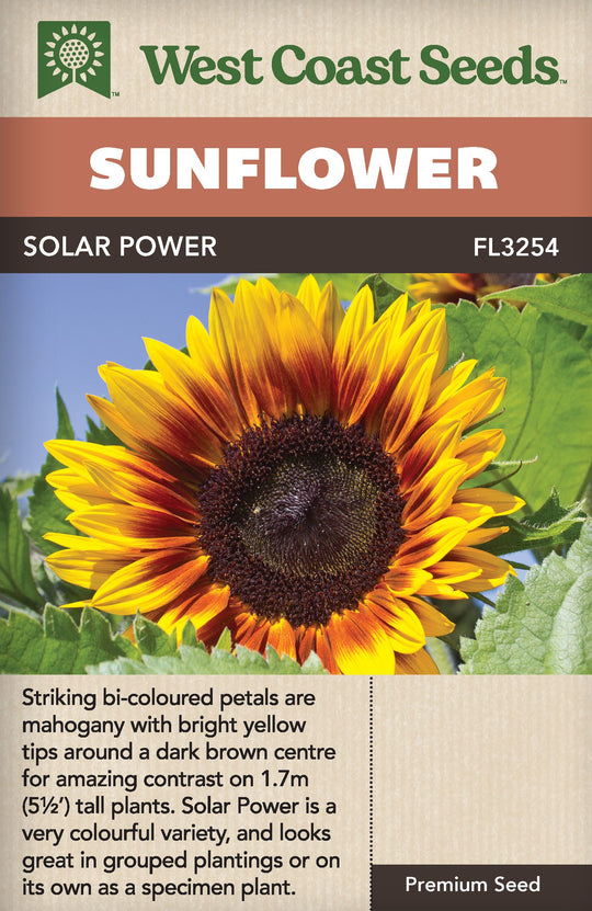 Sunflower Solar Power - West Coast Seeds