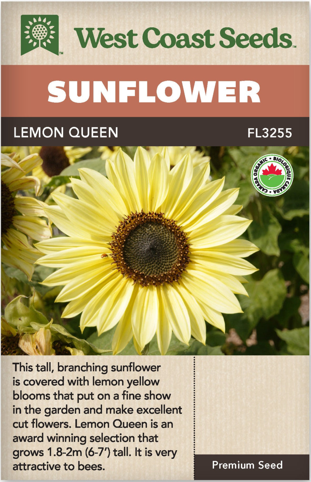 Organic Sunflower Lemon Queen - West Coast Seeds