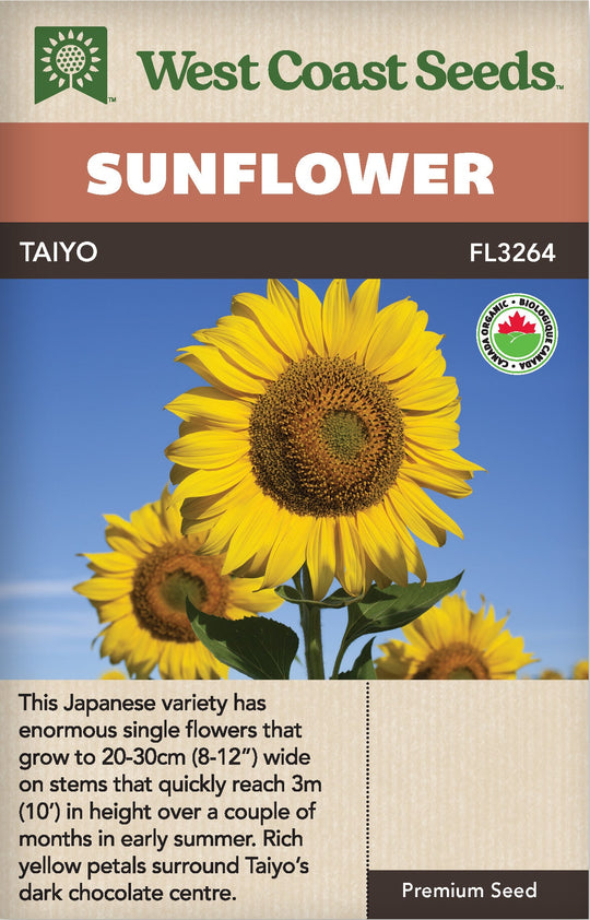 Organic Sunflower Taiyo - West Coast Seeds