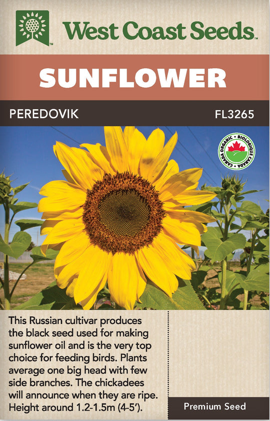 Organic Sunflower Peredovik - West Coast Seeds