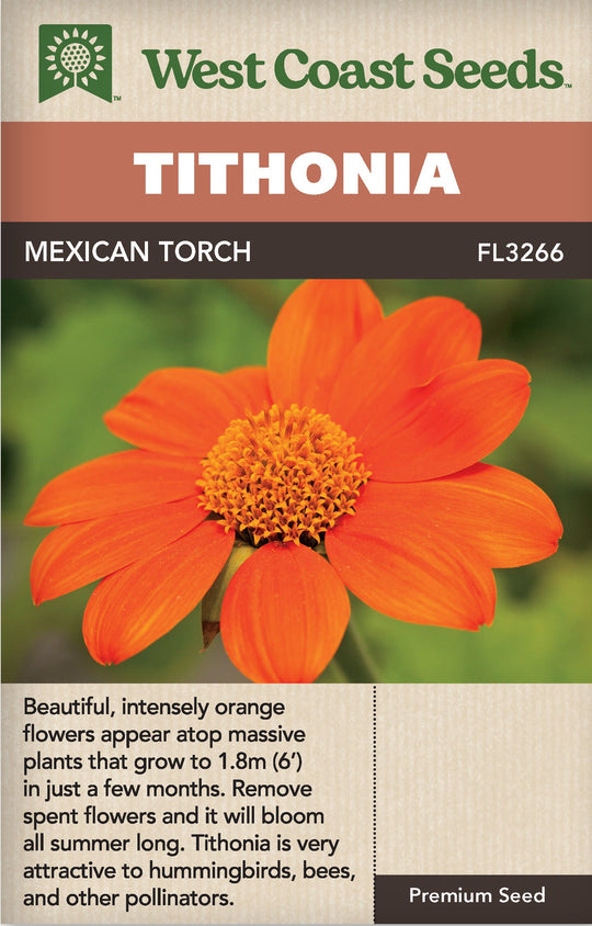 Tithonia Mexican Torch - West Coast Seeds