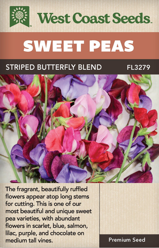 Sweet Peas Strriped Butterfly Blend - West Coast Seeds