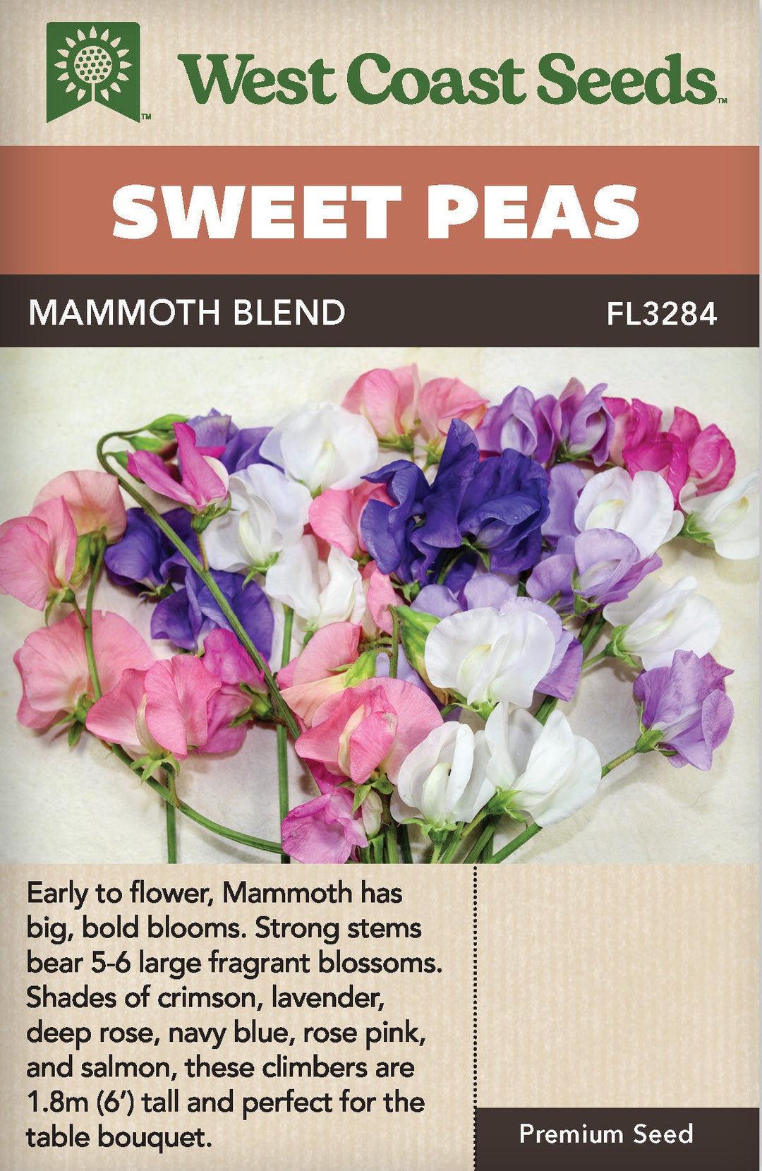 Sweet Peas Mammoth Blend - West Coast Seeds