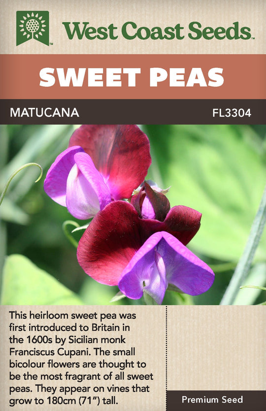 Sweet Peas Matucana - West Coast Seeds