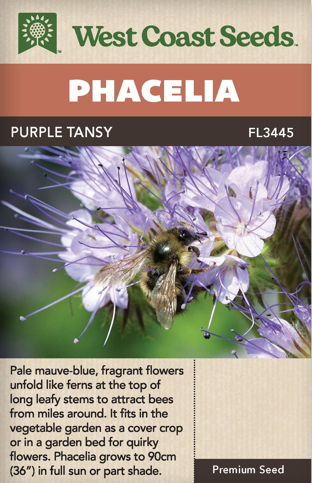 Phacelia Purple Tansy - West Coast Seeds