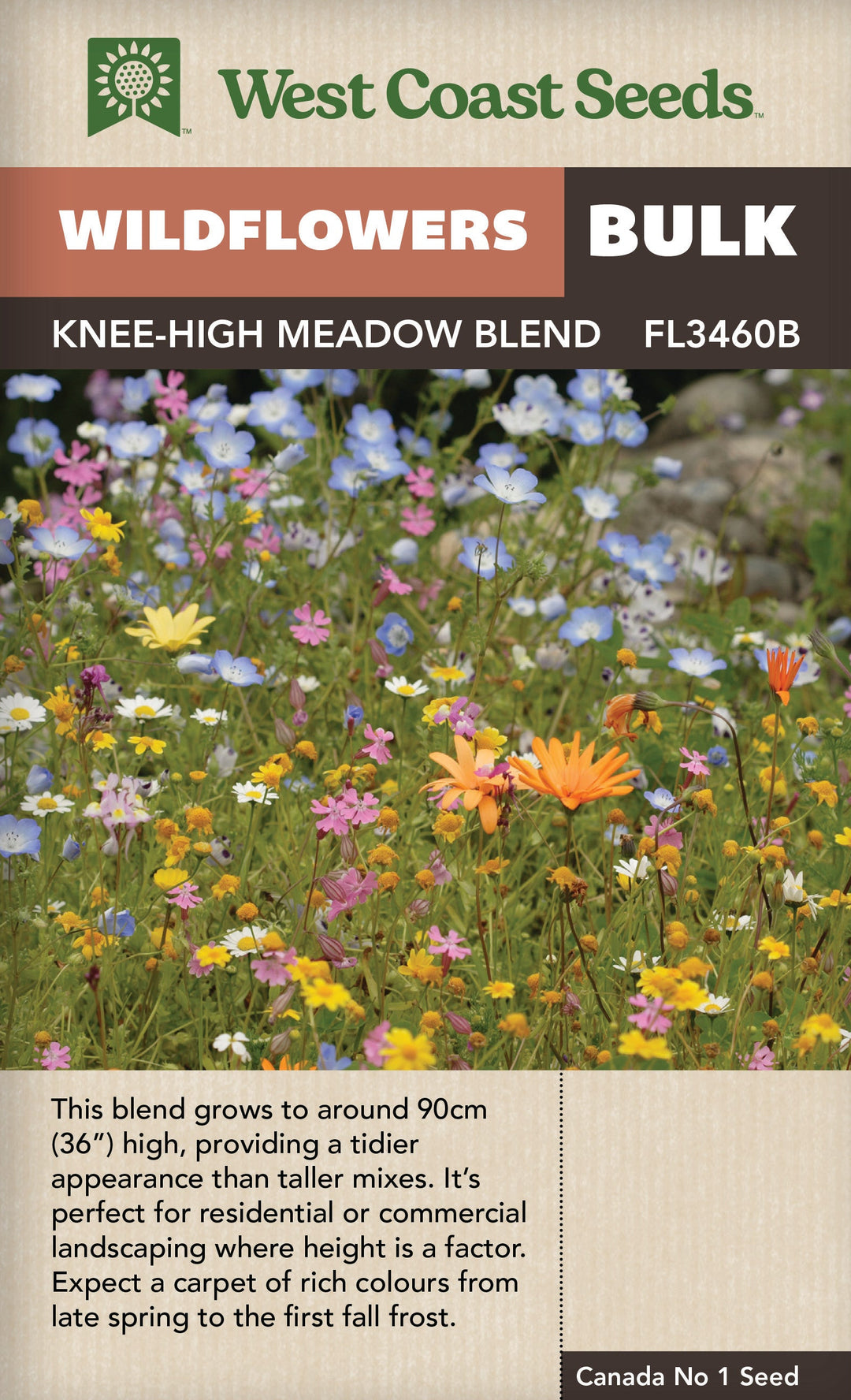 wildflower meadow seeds bulk BULK Wildflowers Knee High Meadow