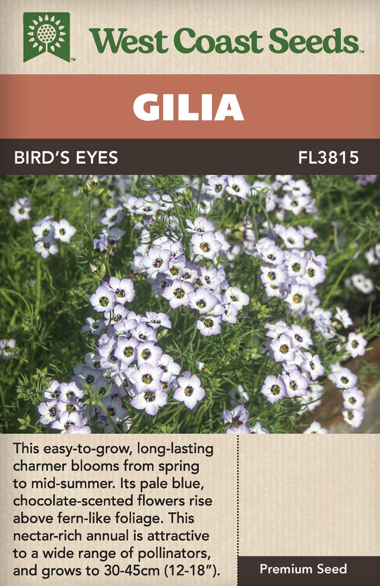 Gilia Bird's Eyes - West Coast Seeds