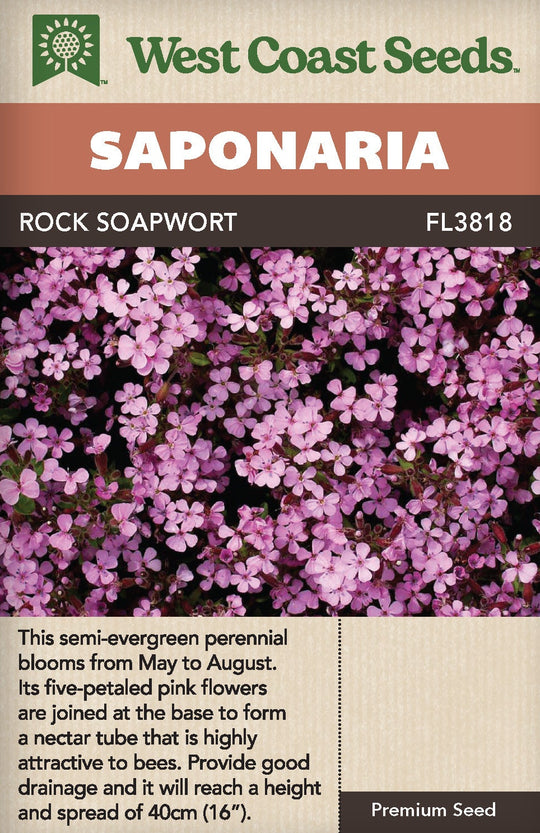 Saponaria Rock Soapwort - West Coast Seeds