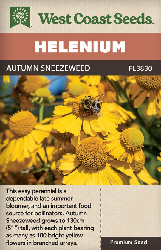 Helenium Autumn Sneezeweed - West Coast Seeds